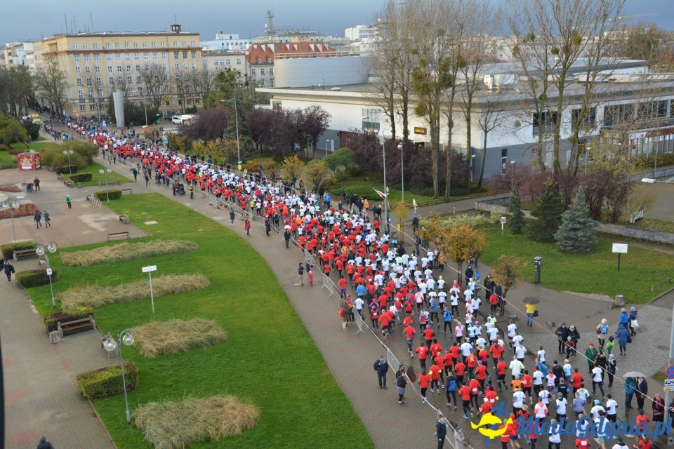 Bieg główny - Bieg Niepodległości z PKO Bankiem Polskim 2017 (I)