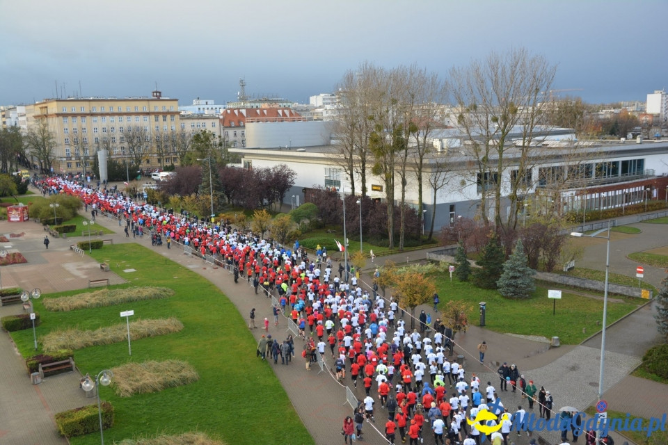 Bieg główny - Bieg Niepodległości z PKO Bankiem Polskim 2017 (I)