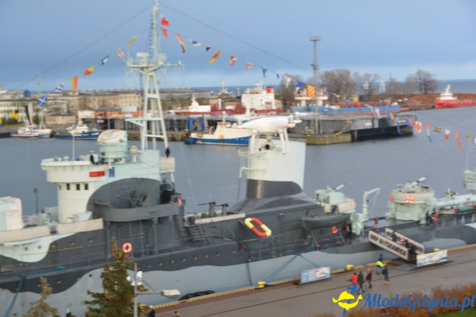 Bieg główny - Bieg Niepodległości z PKO Bankiem Polskim 2017 (I)