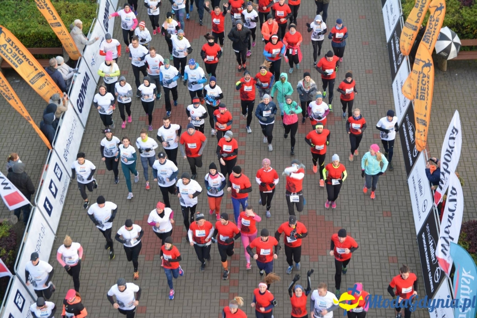 Bieg główny - Bieg Niepodległości z PKO Bankiem Polskim 2017 (I)