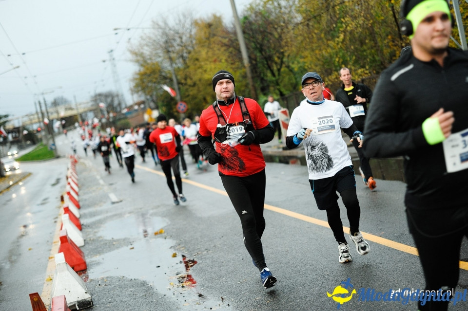 Bieg główny - Bieg Niepodległości z PKO Bankiem Polskim 2017 (II)