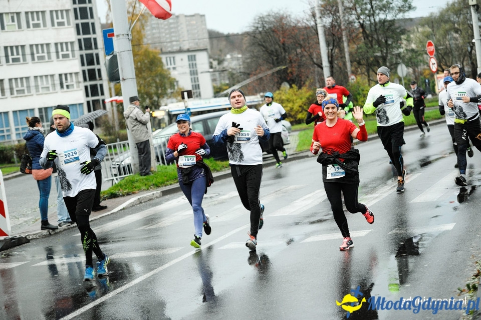 Bieg główny - Bieg Niepodległości z PKO Bankiem Polskim 2017 (II)