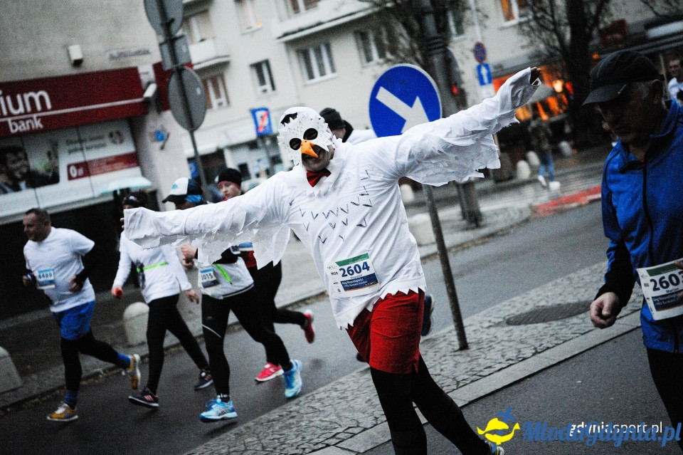 Bieg główny - Bieg Niepodległości z PKO Bankiem Polskim 2017 (II)