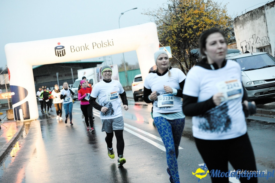 Bieg główny - Bieg Niepodległości z PKO Bankiem Polskim 2017 (II)