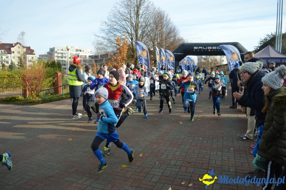 Puchar Gdyni - Gdynia Dąbrowa