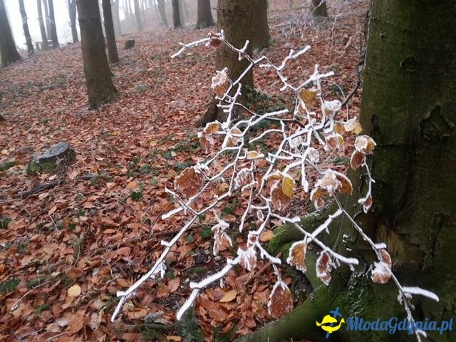 SP 44 - GRUPA ERASMUS - wyjazd do Austrii