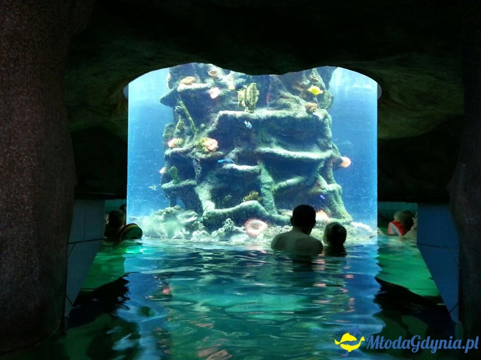 SP 44 - GRUPA ERASMUS - wyjazd do Austrii