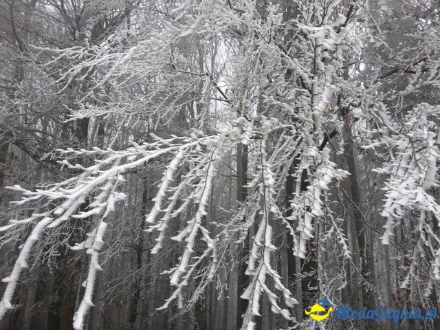 SP 44 - GRUPA ERASMUS - wyjazd do Austrii