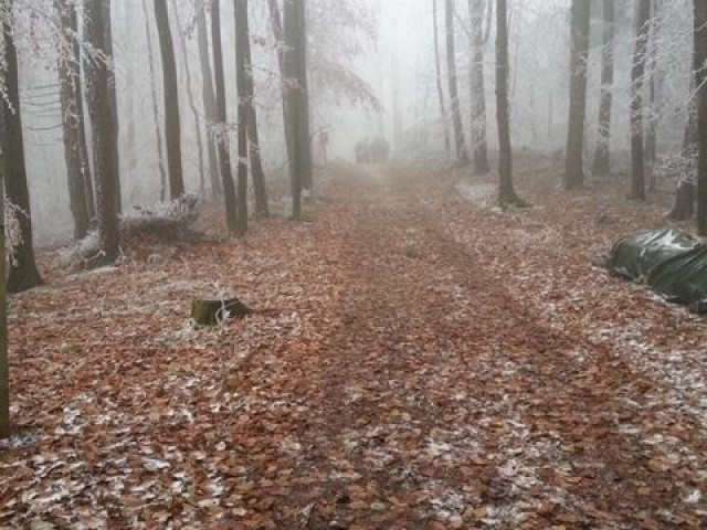 SP 44 - GRUPA ERASMUS - wyjazd do Austrii