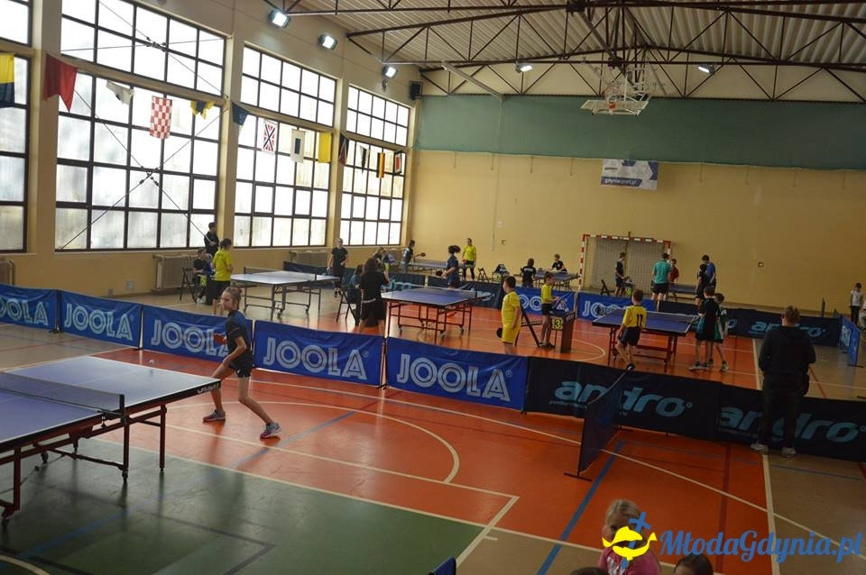 Półfinał woj. pomorskiego Igrzysk Dzieci i Igrzysk Młodzieży Szkolnej w Tenisie Stołowym - 15.11.2017