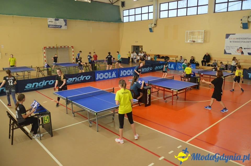 Półfinał woj. pomorskiego Igrzysk Dzieci i Igrzysk Młodzieży Szkolnej w Tenisie Stołowym - 15.11.2017
