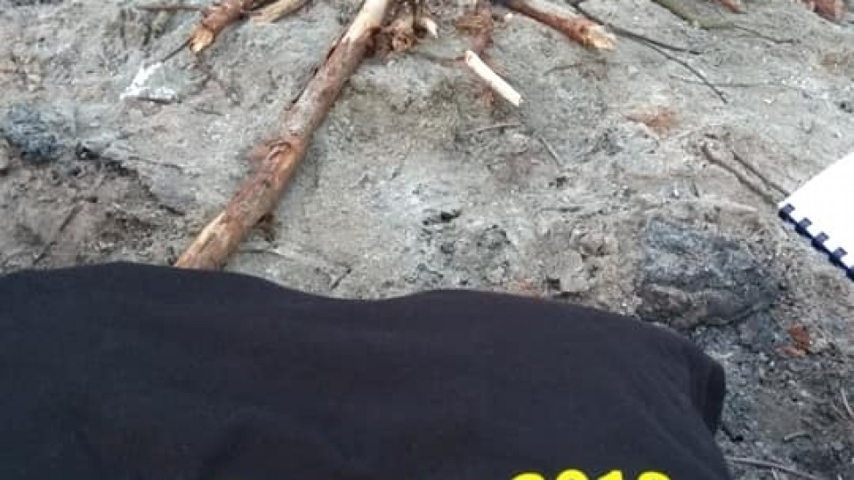 53 GDSH STEFANY - wkacje 2018 - Czernica