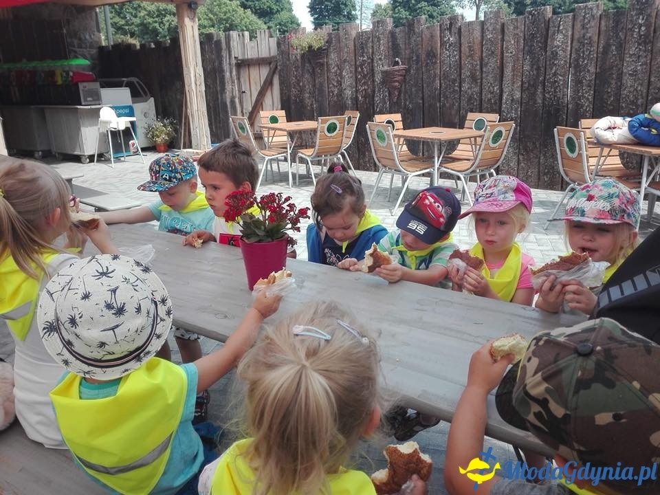 SP 43 - Morskie Zuchy były na wycieczce w Parku Ewolucji Sławutówko