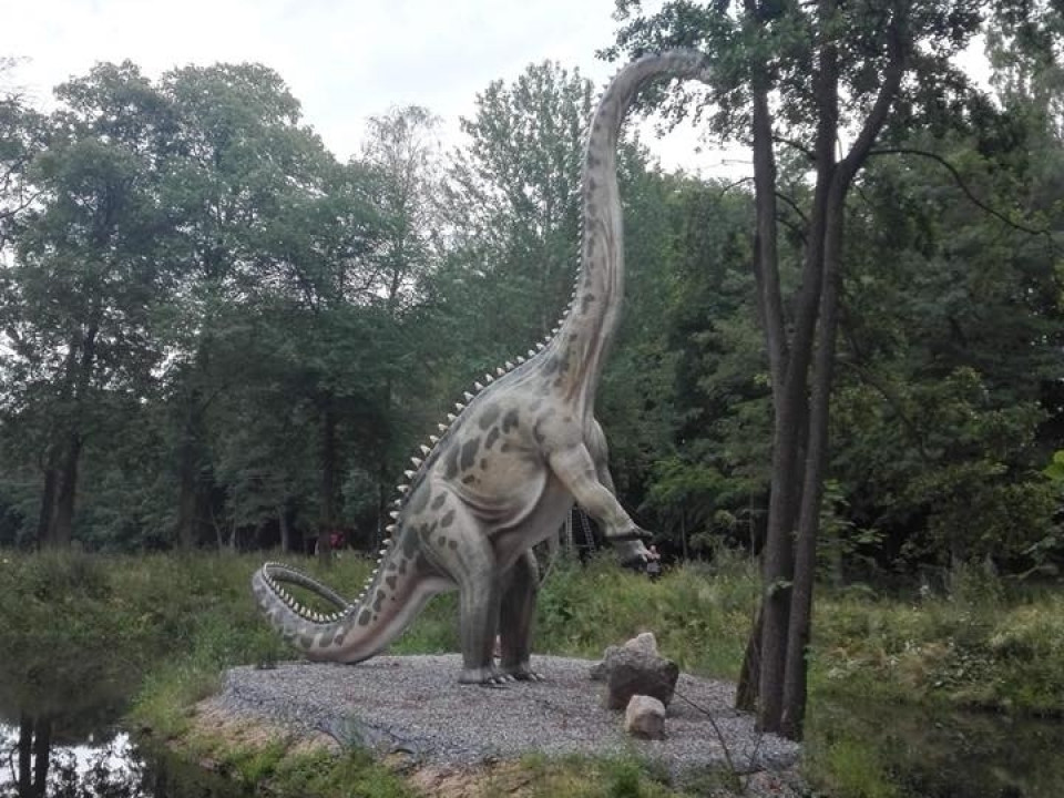 SP 43 - Morskie Zuchy były na wycieczce w Parku Ewolucji Sławutówko