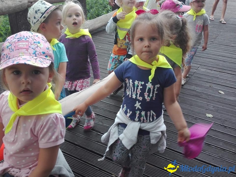 SP 43 - Morskie Zuchy były na wycieczce w Parku Ewolucji Sławutówko