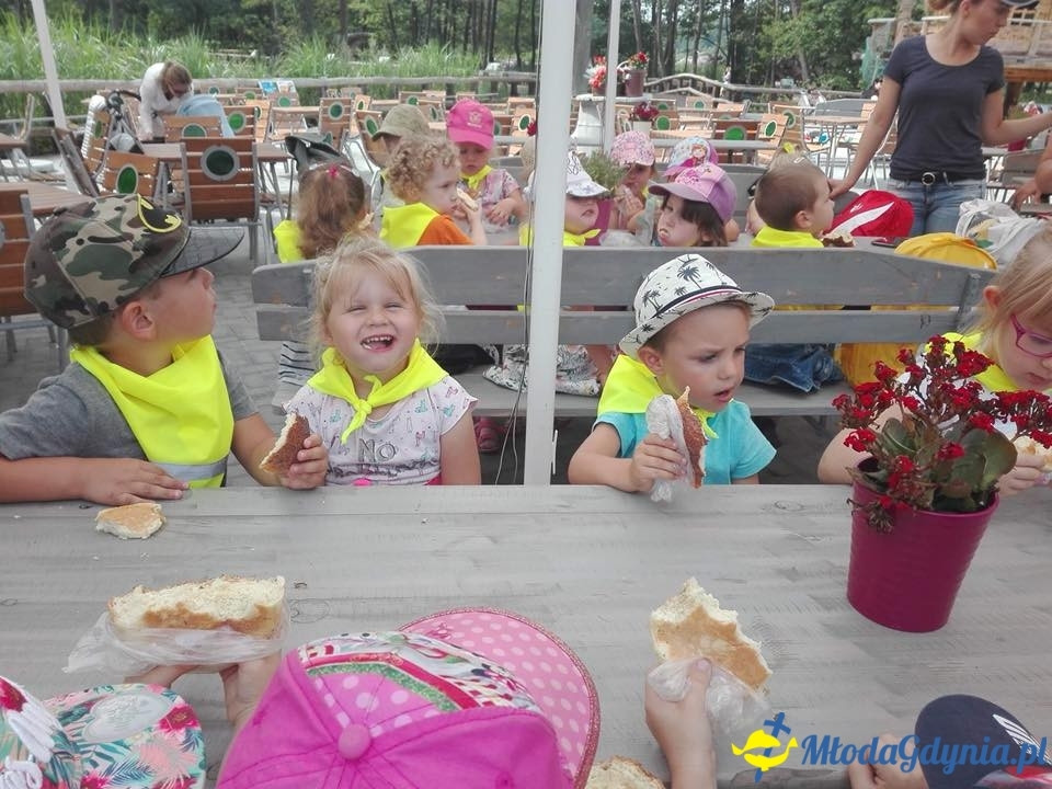 SP 43 - Morskie Zuchy były na wycieczce w Parku Ewolucji Sławutówko