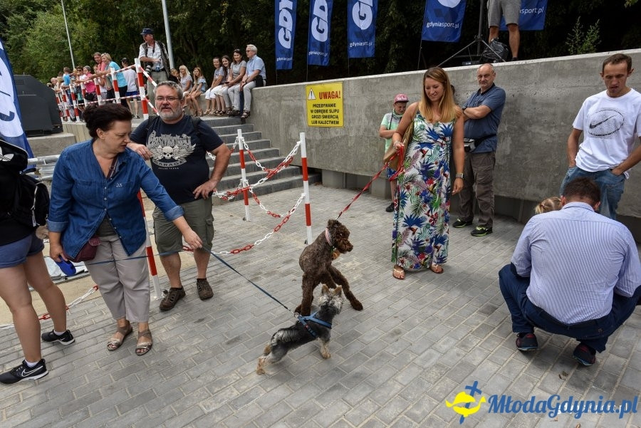Wielkie otwarcie przystani rybackiej na Oksywiu