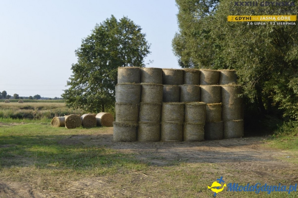 Gdyńska Piesza Pielgrzymka na Jasną Górę 2018 - dzień 16