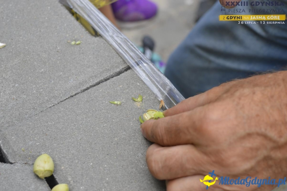 Gdyńska Piesza Pielgrzymka na Jasną Górę 2018 - dzień 16