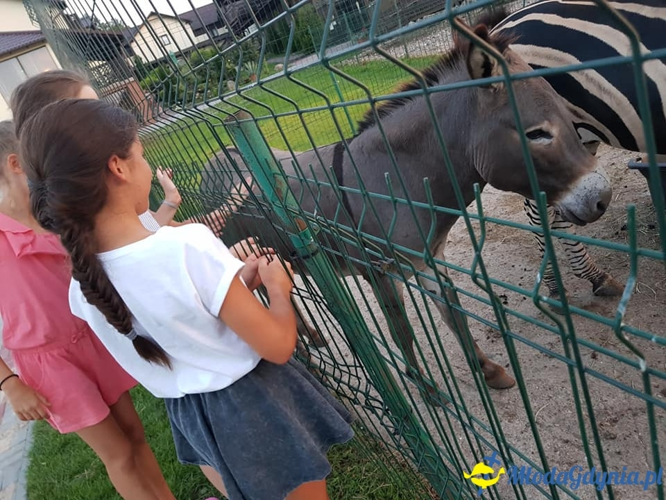 UKS Jantar - Zgrupowanie treningowe Stara Kiszewa 2018
