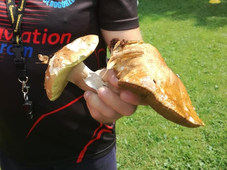 UKS LIDER na obozie w Korbielowie 2018