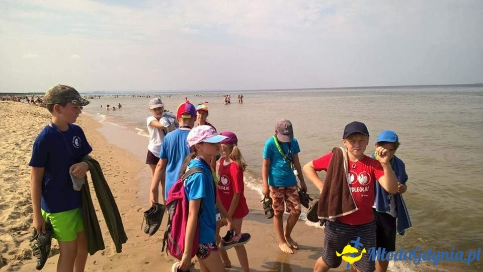 Zlot ZHP Gdańsk 2018 na Wyspie Sobieszewskiej