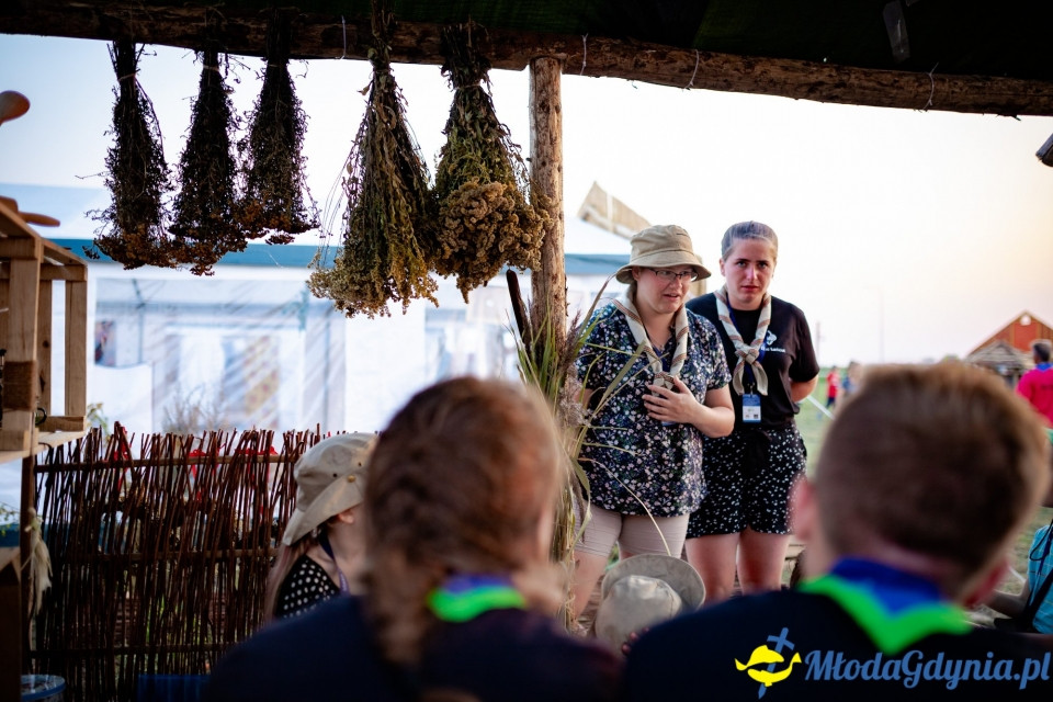 Zlot ZHP Gdańsk 2018 na Wyspie Sobieszewskiej