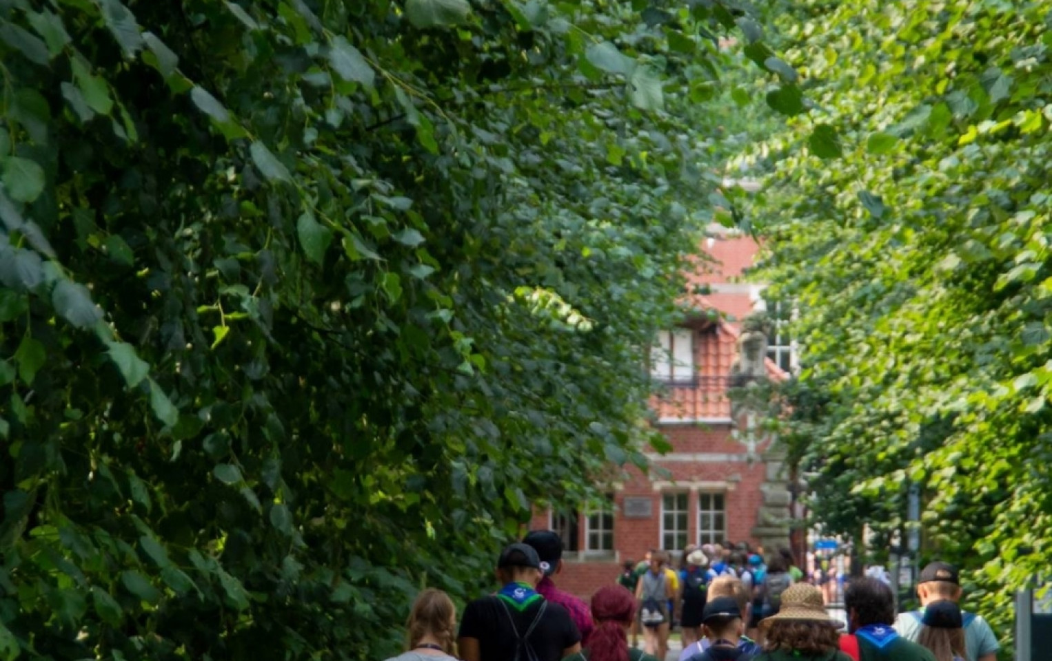 Zlot ZHP Gdańsk 2018 na Wyspie Sobieszewskiej