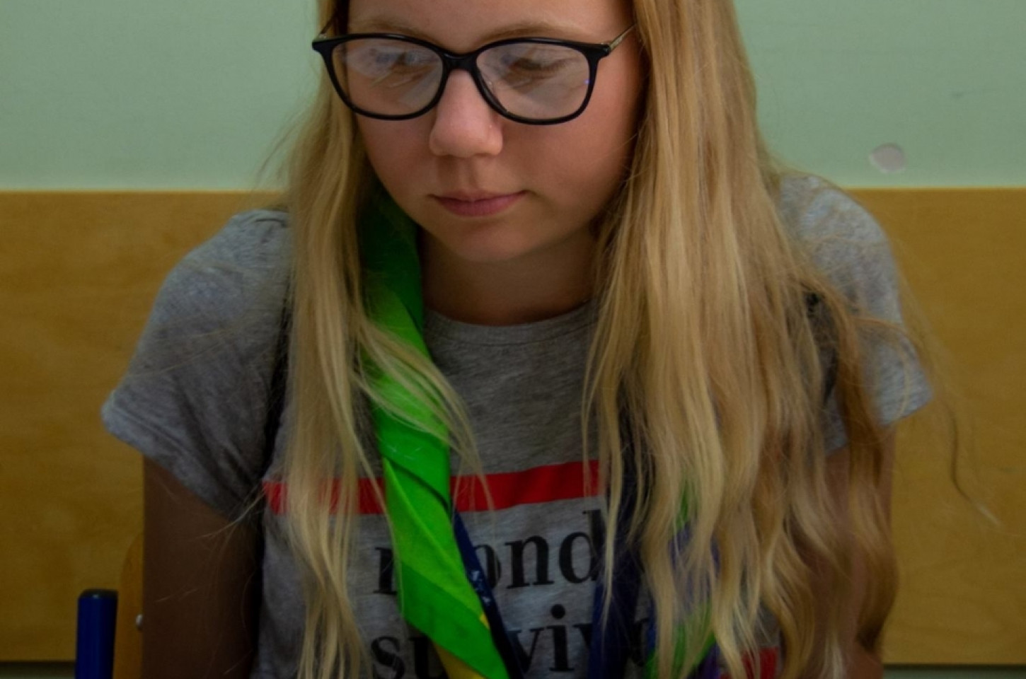 Zlot ZHP Gdańsk 2018 na Wyspie Sobieszewskiej