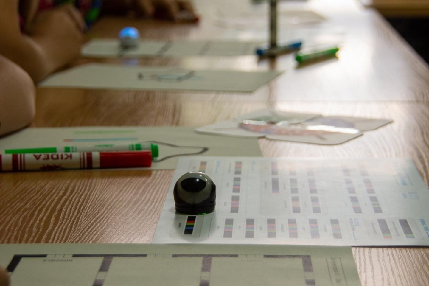 Zlot ZHP Gdańsk 2018 na Wyspie Sobieszewskiej