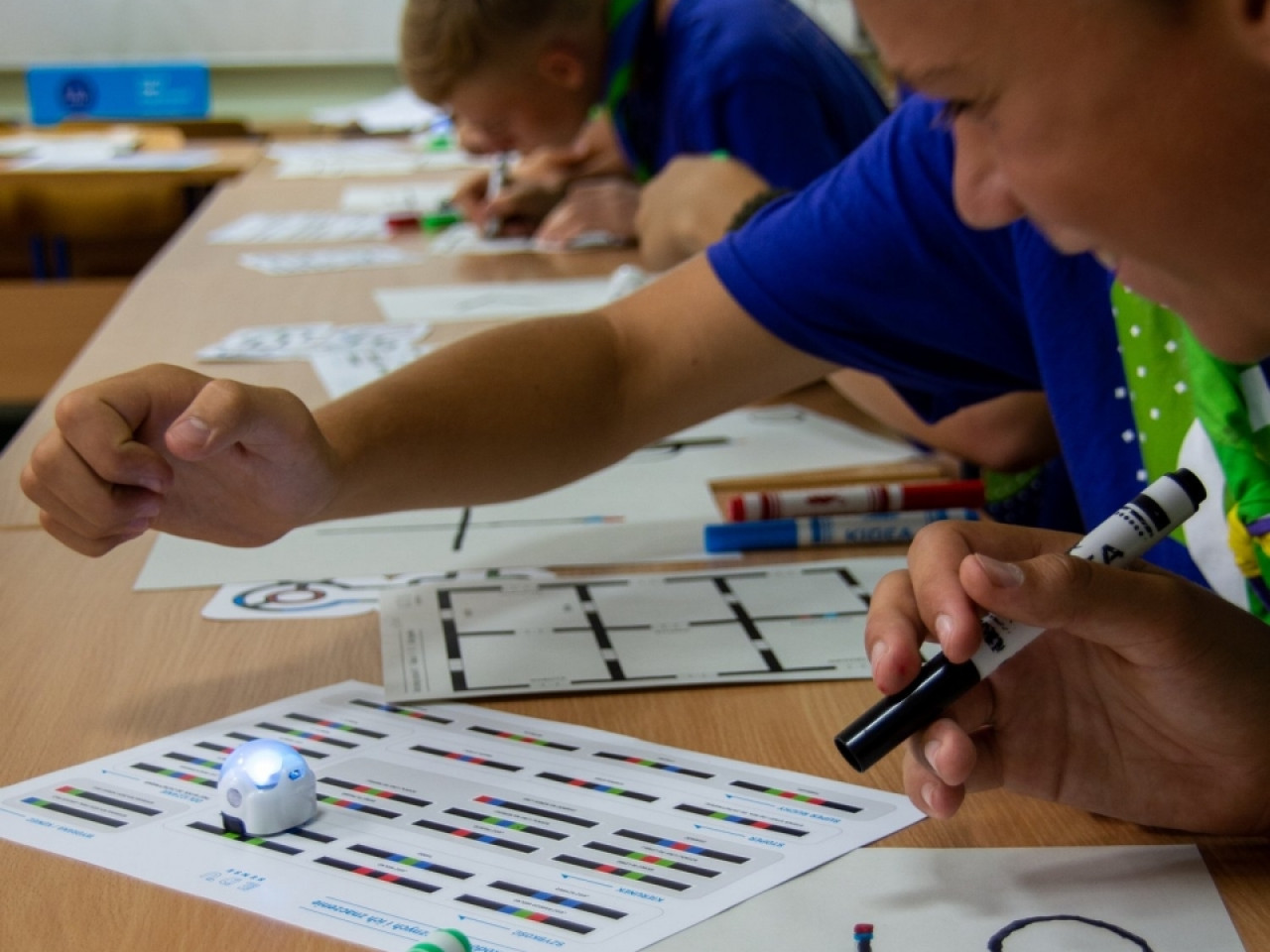 Zlot ZHP Gdańsk 2018 na Wyspie Sobieszewskiej