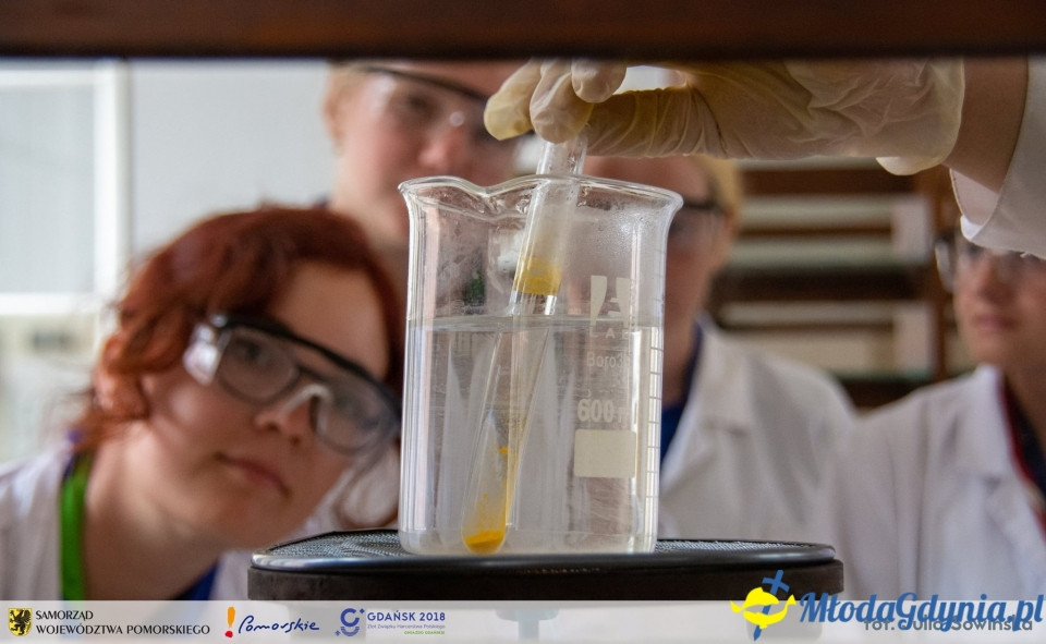 Zlot ZHP Gdańsk 2018 na Wyspie Sobieszewskiej