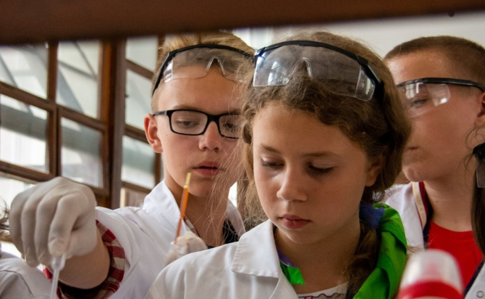 Zlot ZHP Gdańsk 2018 na Wyspie Sobieszewskiej