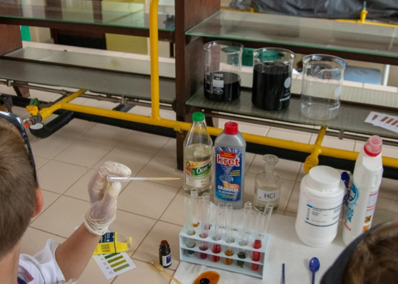 Zlot ZHP Gdańsk 2018 na Wyspie Sobieszewskiej