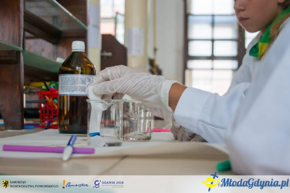 Zlot ZHP Gdańsk 2018 na Wyspie Sobieszewskiej