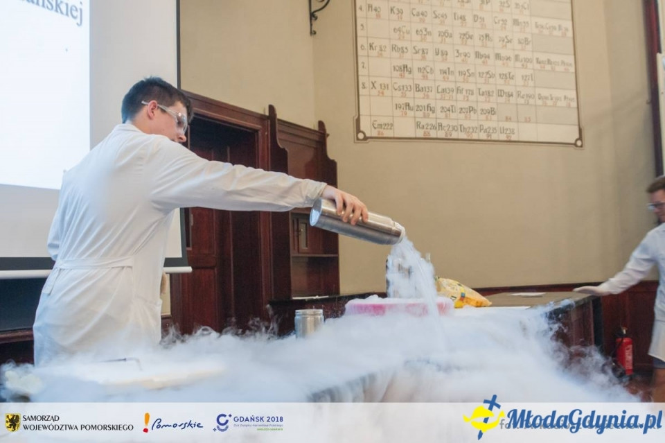 Zlot ZHP Gdańsk 2018 na Wyspie Sobieszewskiej