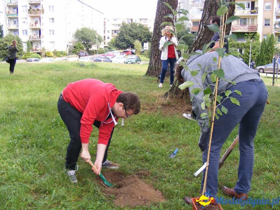 Wzgórze Choleryków - porzadkowanie i zasadzenie symbolicznego drzewka 18.08.2018