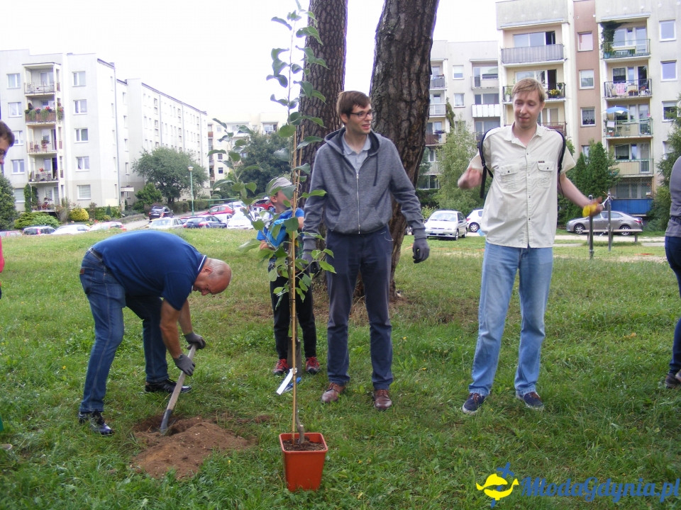 Wzgórze Choleryków - porzadkowanie i zasadzenie symbolicznego drzewka 18.08.2018