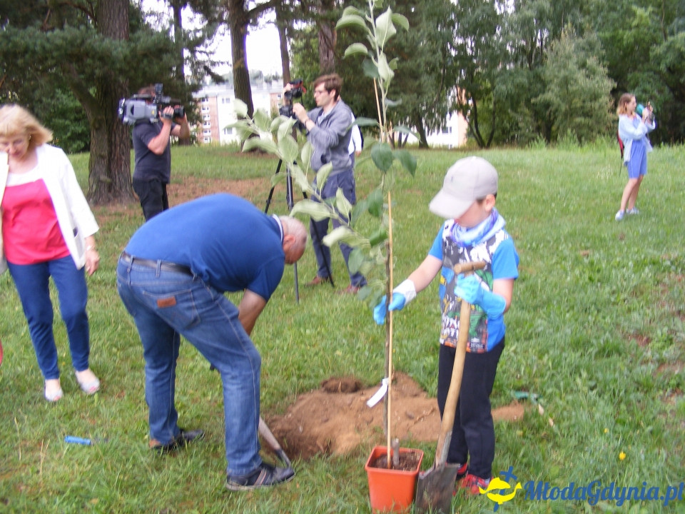 Wzgórze Choleryków - porzadkowanie i zasadzenie symbolicznego drzewka 18.08.2018