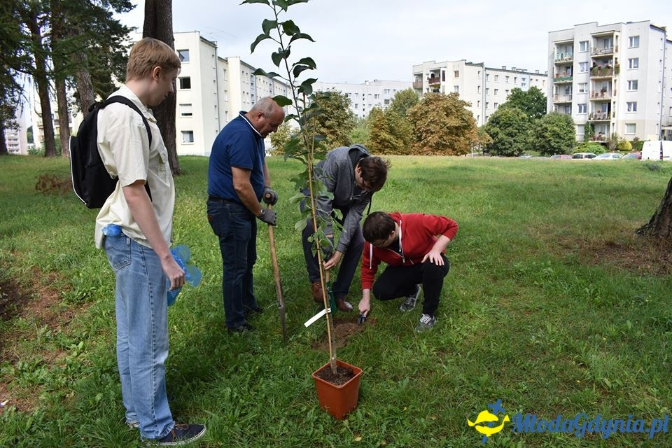 Wzgórze Choleryków - porzadkowanie i zasadzenie symbolicznego drzewka 18.08.2018