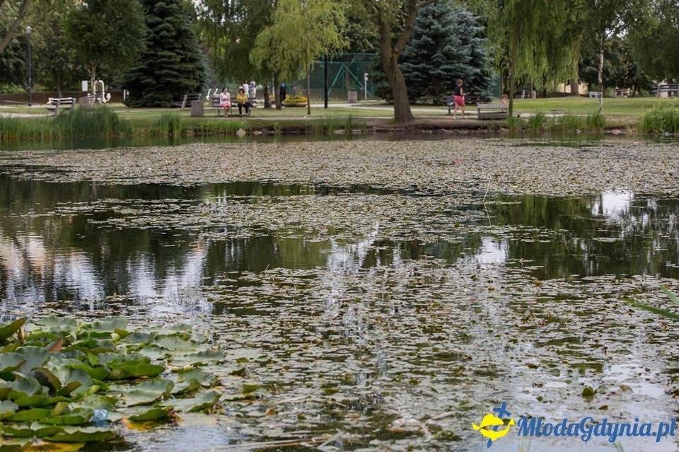 Porozmawiajmy o Dzielnicach - spotkanie na Obłużu