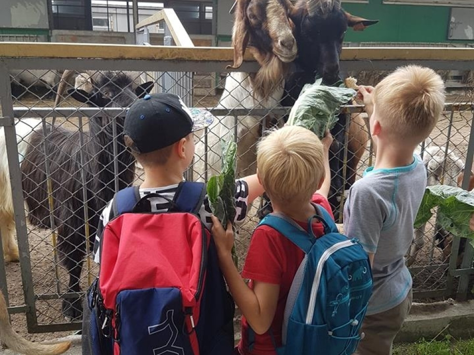 UKS 7 - Obóz Sportowo ? Rekreacyjny Olsztyn 2-11 lipca 2018