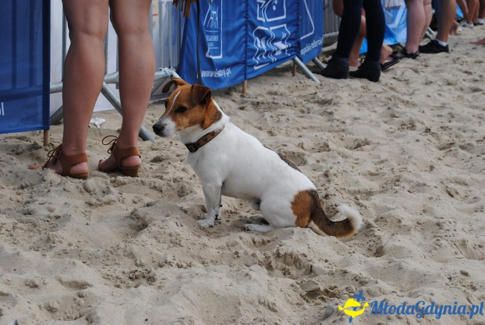 Sopot Beach Rugby - 05.08.2018r.