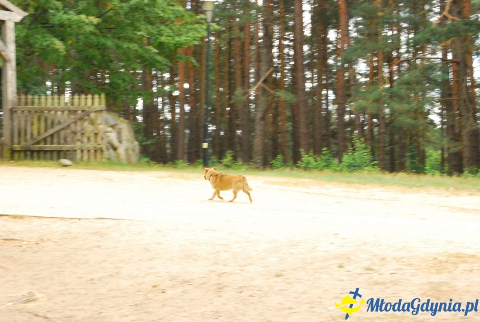 Klub Sportowy Gokken - Wdzydze 2018 (I)