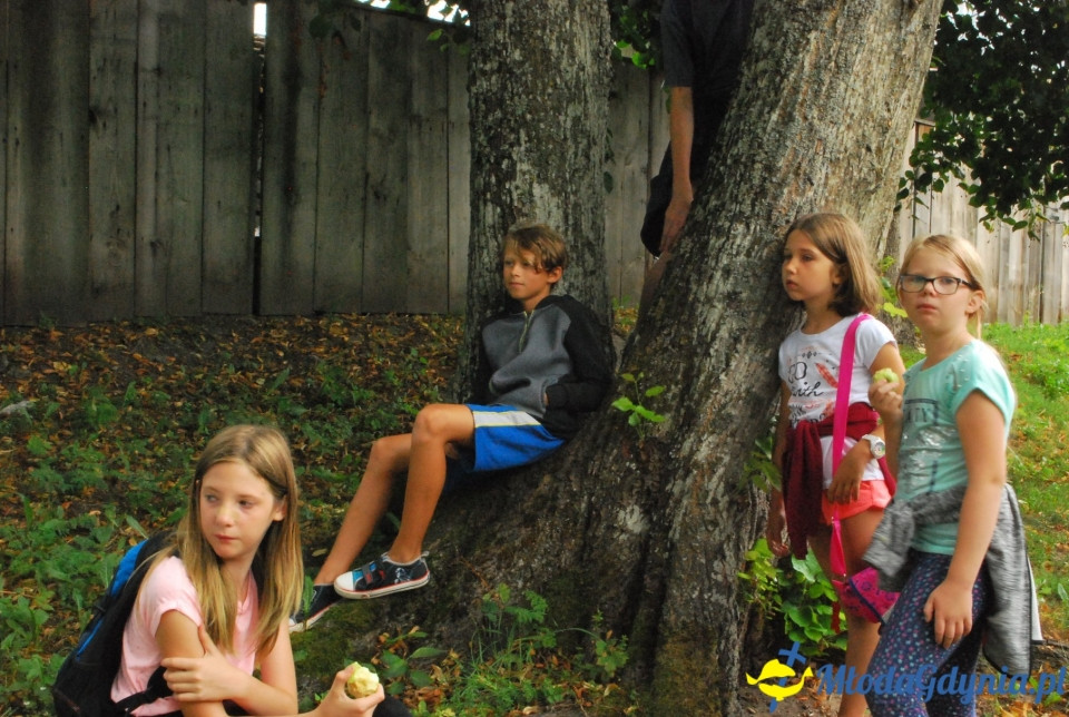 Klub Sportowy Gokken - Wdzydze 2018 (I)