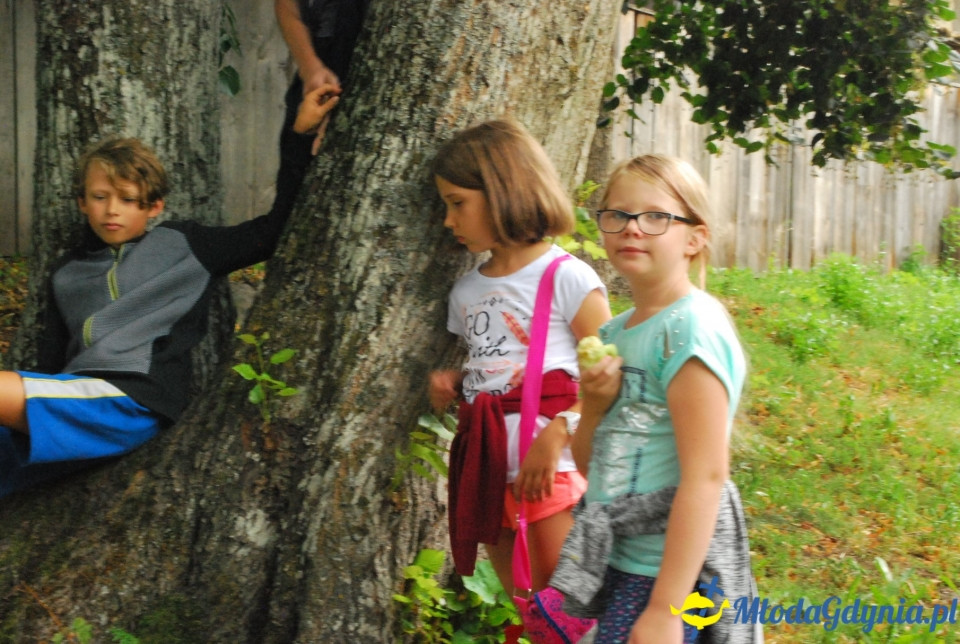 Klub Sportowy Gokken - Wdzydze 2018 (I)