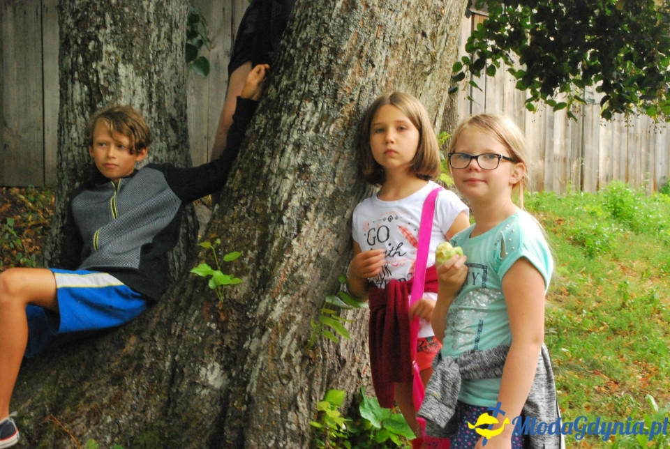 Klub Sportowy Gokken - Wdzydze 2018 (I)