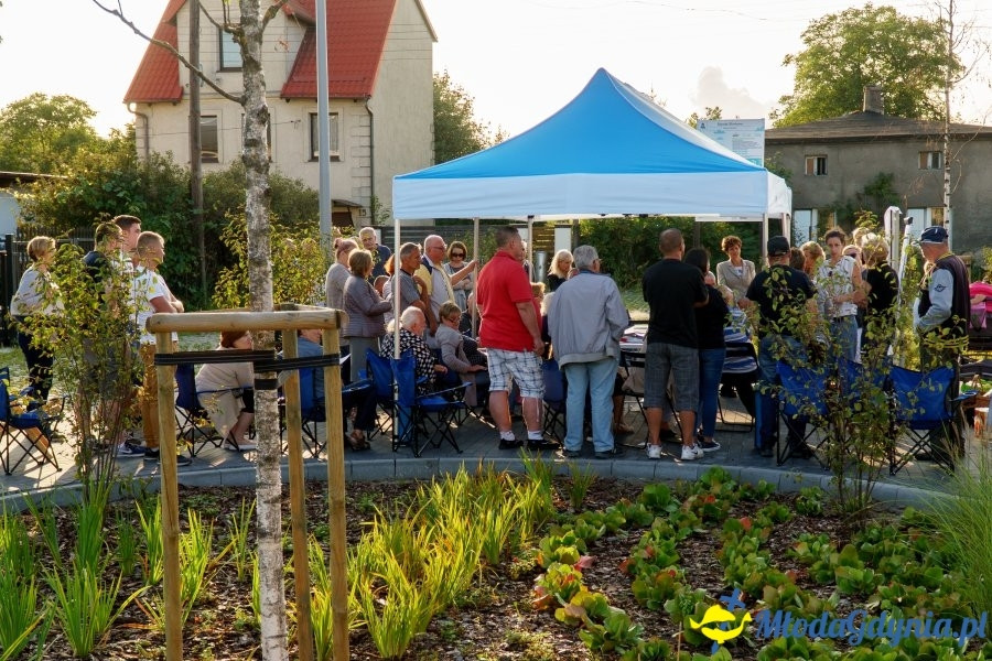 Meksyk - rozmowy o rewitalizacji i kino w ogrodzie deszczowym z udziałem Michała Gucia