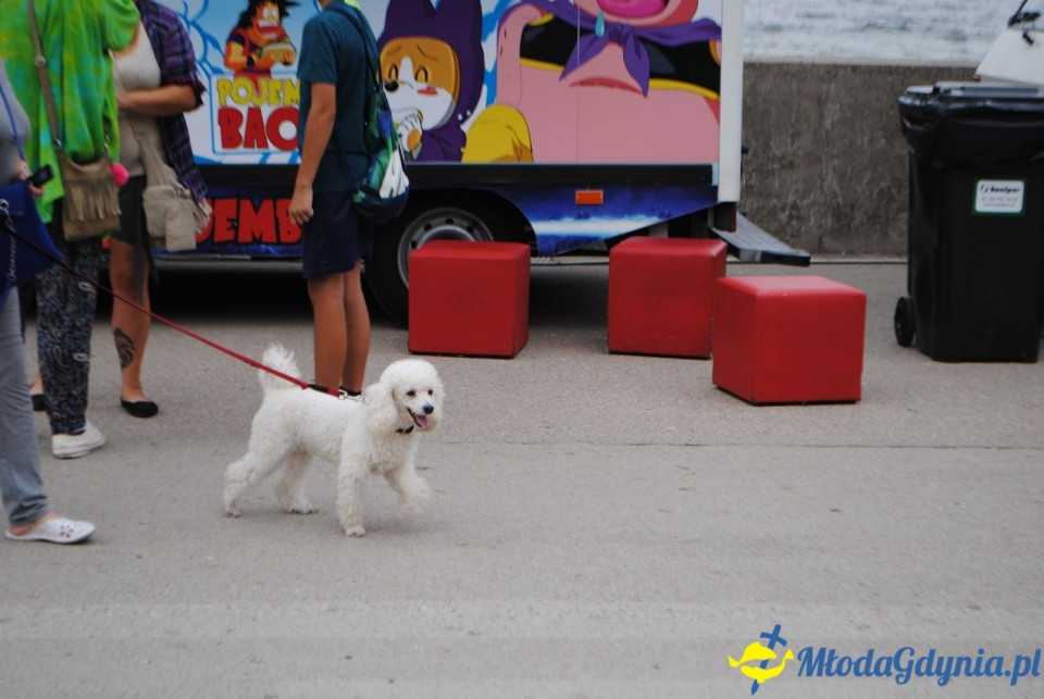 Piknik Rodzinny WIELKA ARKA - 30.08.2018r.