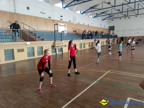 Gdyńska Akademia Siatkówki